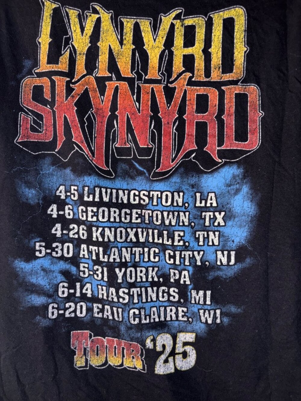 Lynyrd Skynyrd 2025 World Tour Black Graphic Tee L Gildan Softstyle - Picture 3 of 5